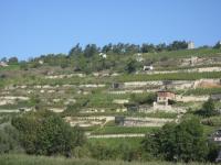 Unstrutlandschaft Unstrutlandschaft