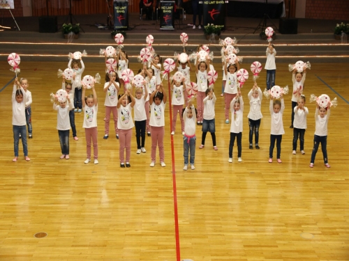 Hopser_2018